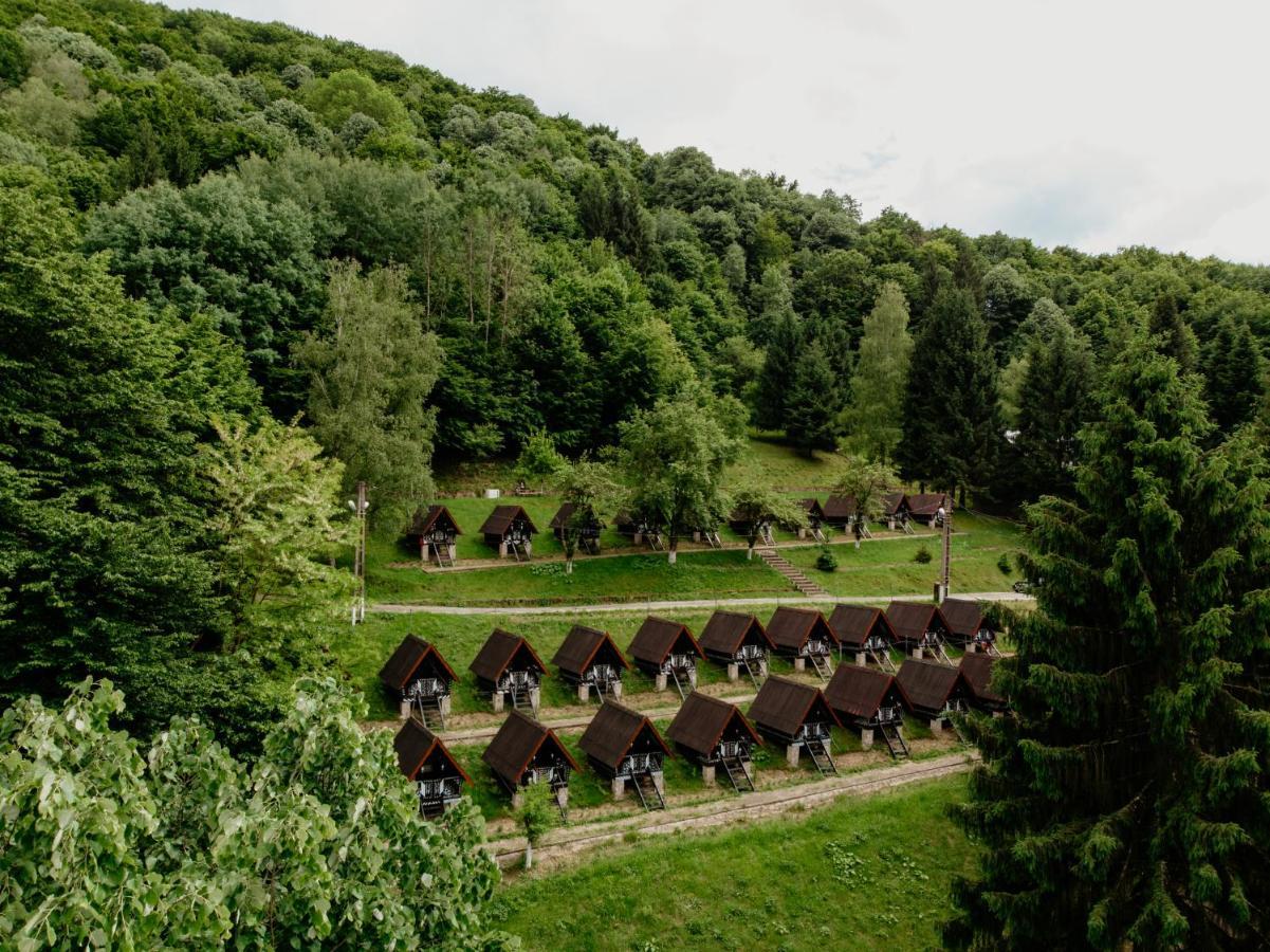 Hotel Valea Lui Liman Tomesti  Esterno foto