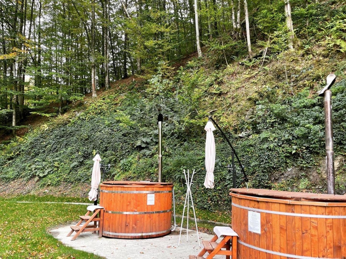 Hotel Valea Lui Liman Tomesti  Esterno foto