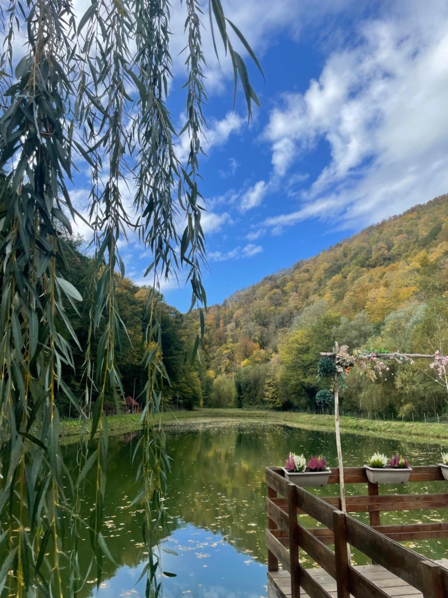 Hotel Valea Lui Liman Tomesti  Esterno foto
