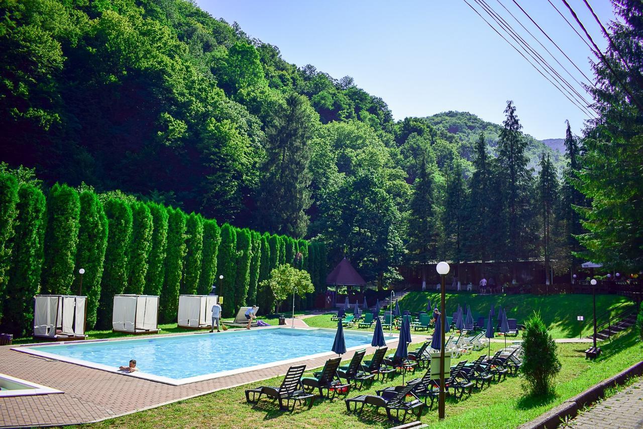Hotel Valea Lui Liman Tomesti  Esterno foto